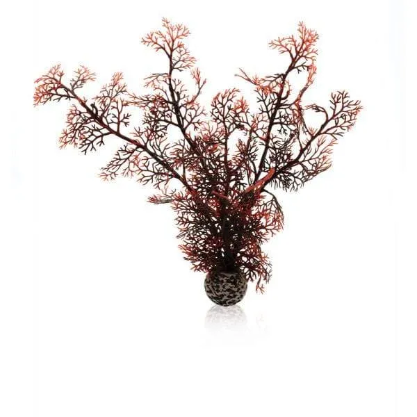 biOrb Corail M couleurs d'automne