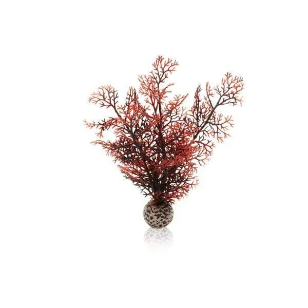 biOrb Corail S couleurs d'automne