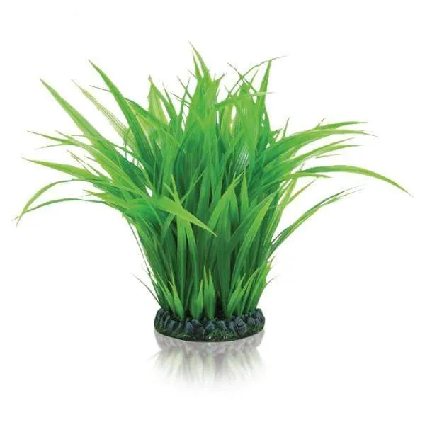 biOrb Anneau d'herbe L verte