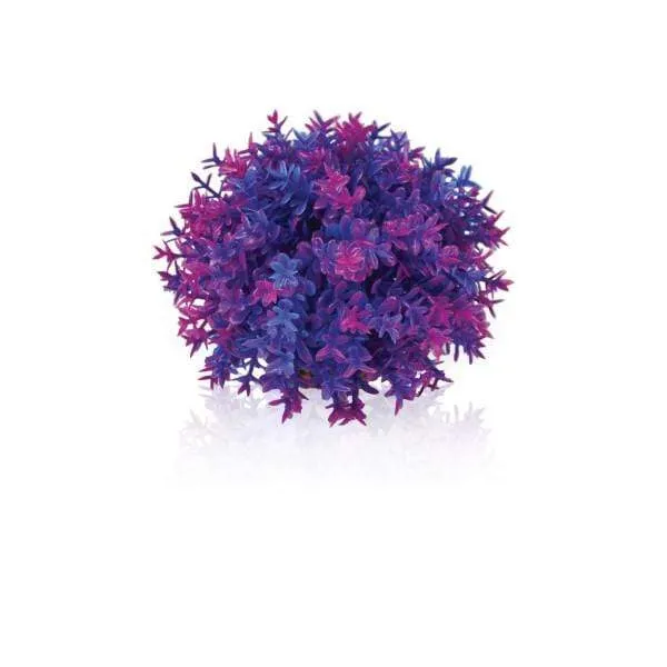 biOrb Boule topiaire violette