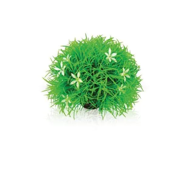 biOrb Boule verte avec fleurs