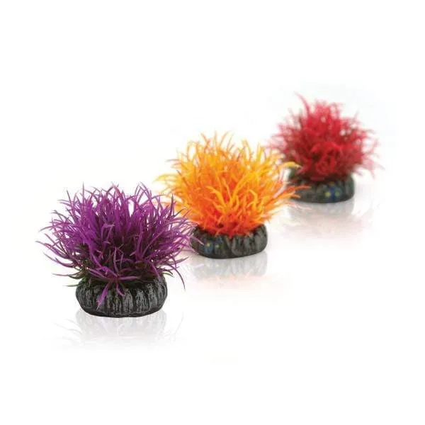 biOrb Set de 3 boules colorées