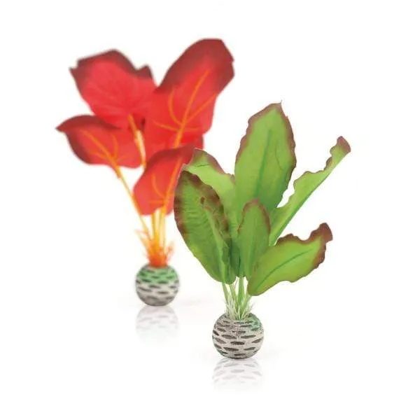 biOrb Set plantes S vertes & rouges
