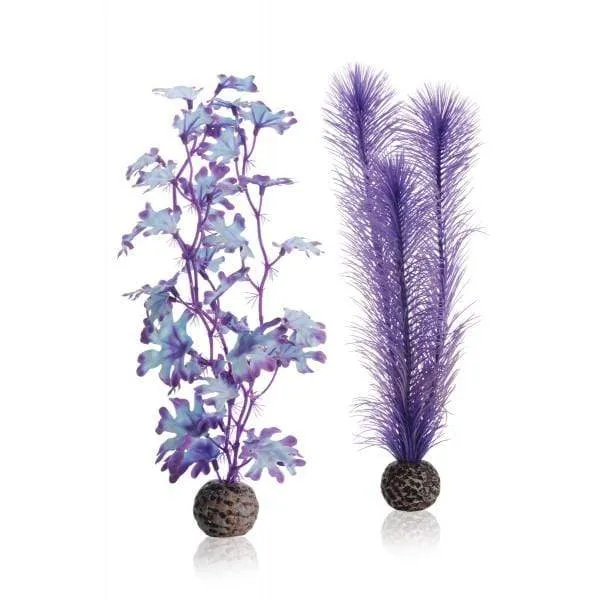 biOrb Set de plantes M violettes