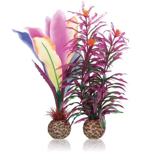 biOrb Plumes de Perroquet M