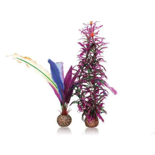 biOrb Plumes de Perroquet S