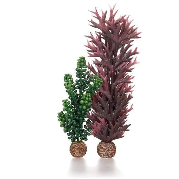 biOrb Perles de Mer & algues vert olive Taille M