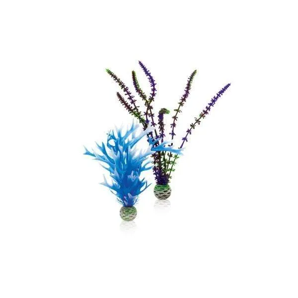 biOrb Set de plantes M bleues&violettes