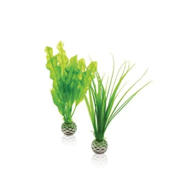 biOrb Set de plantes S vertes