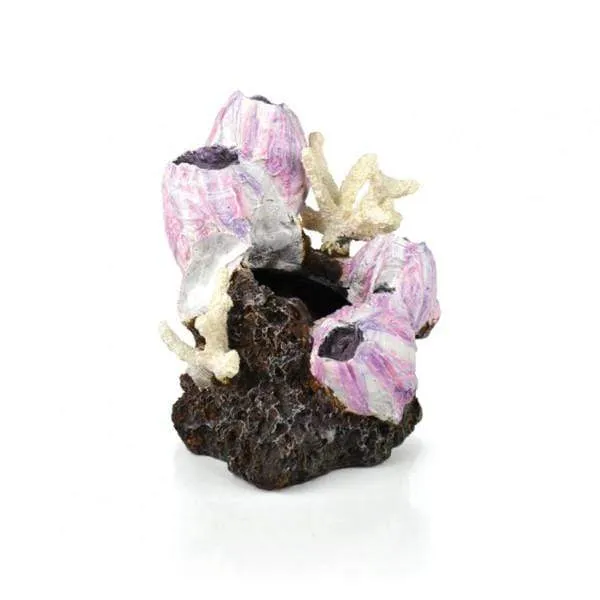 biOrb Bernacle décor S rose