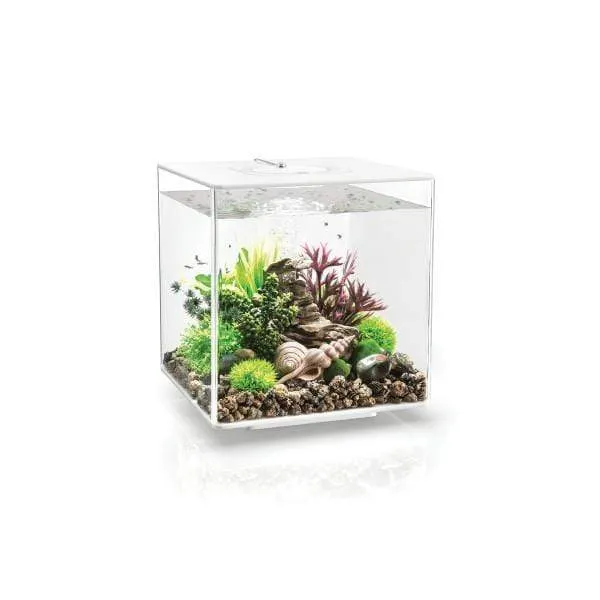 Aquarium biOrb CUBE 30 LED Blanc