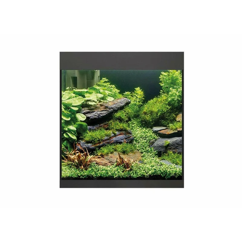 Aquarium StyleLine 85 noir - 75L