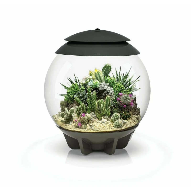 Terrarium biOrb AIR 30 Gris - 30L