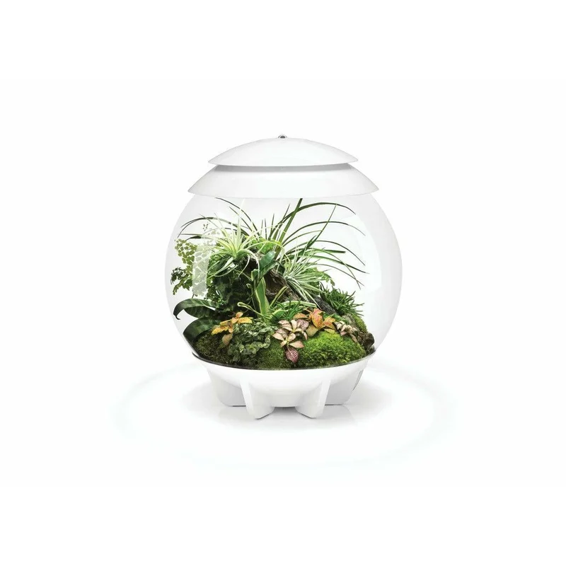 Terrarium biOrb AIR 30 Blanc - 30L