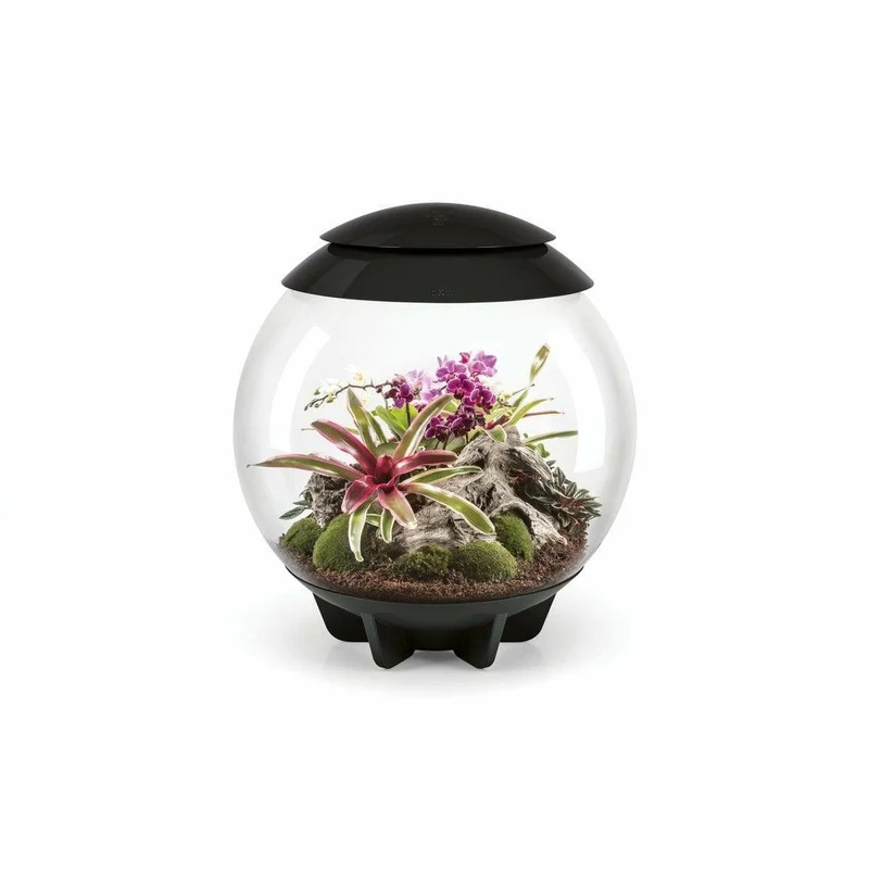 Terrarium biOrb AIR 60 Noir - 60L