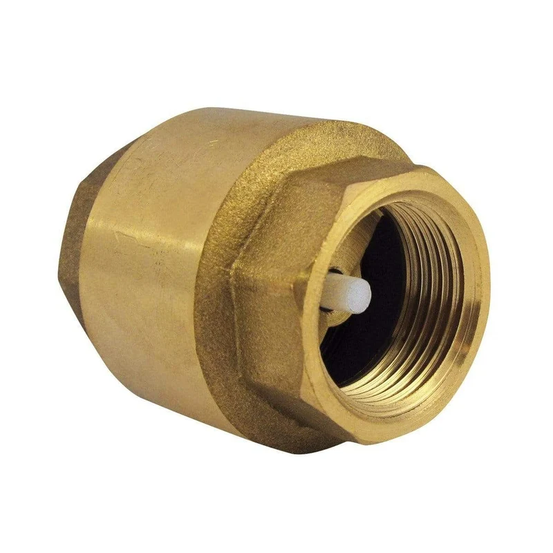 Clapet anti-retour à ressort 1 1/4" - Oase