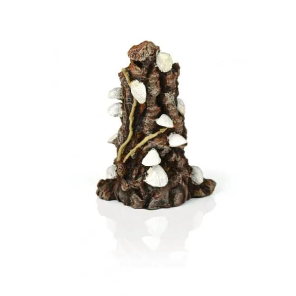 biOrb Coquillages blanc sur branche