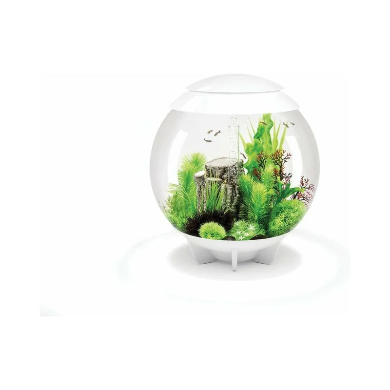 Aquarium biOrb HALO 60 MCR blanc - 60 litres