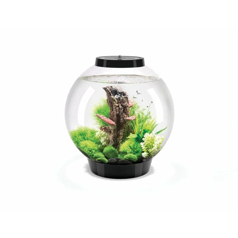 Aquarium biOrb CLASSIC 30 LED noir - 30 litres