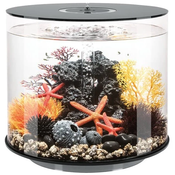 Aquarium biOrb TUBE 35 LED noir - 35 litres