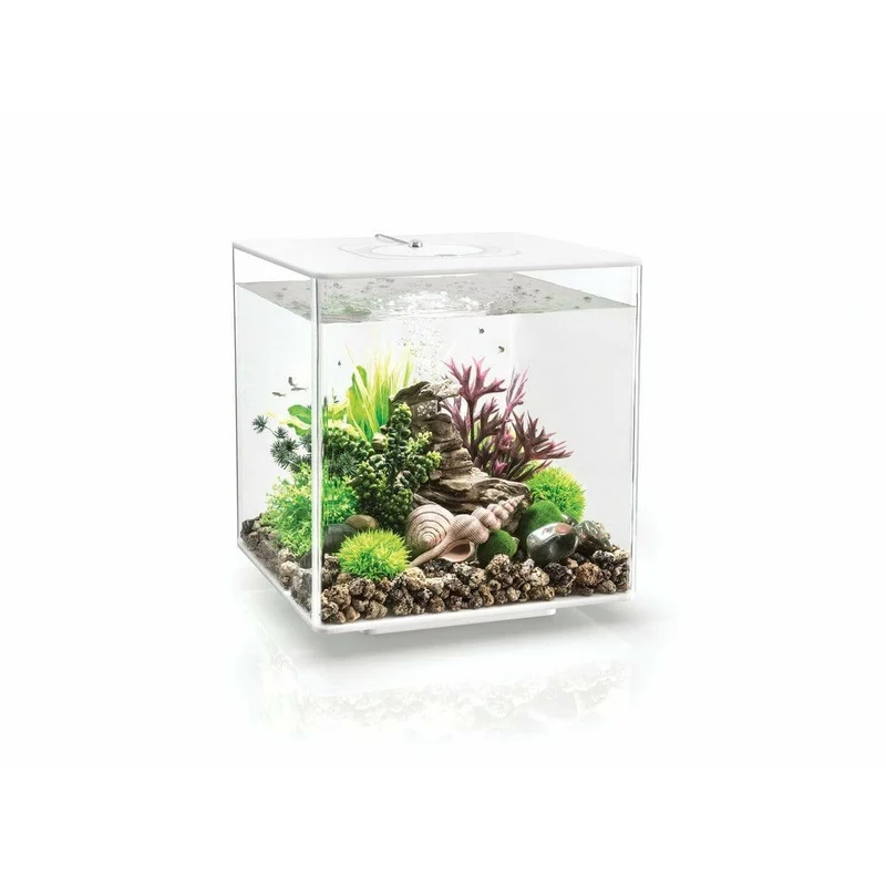 Aquarium biOrb CUBE 30 MCR blanc - 30 litres
