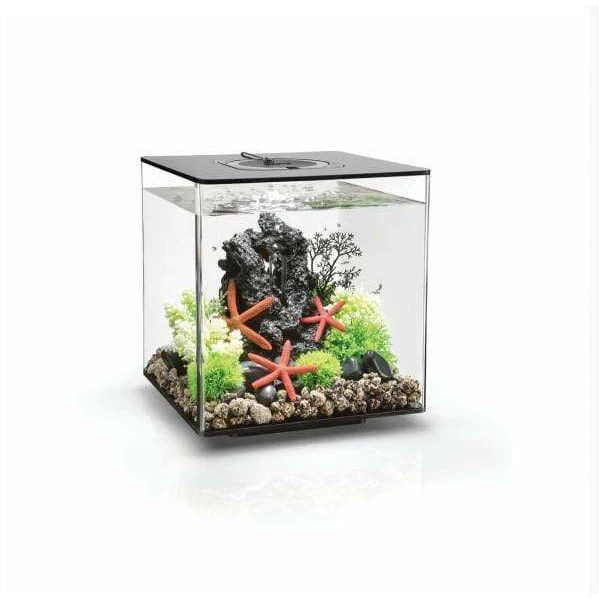 Aquarium biOrb CUBE 30 LED noir