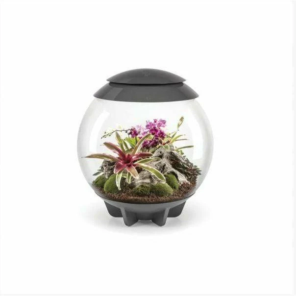 Terrarium biOrb AIR 60 Gris - 60L