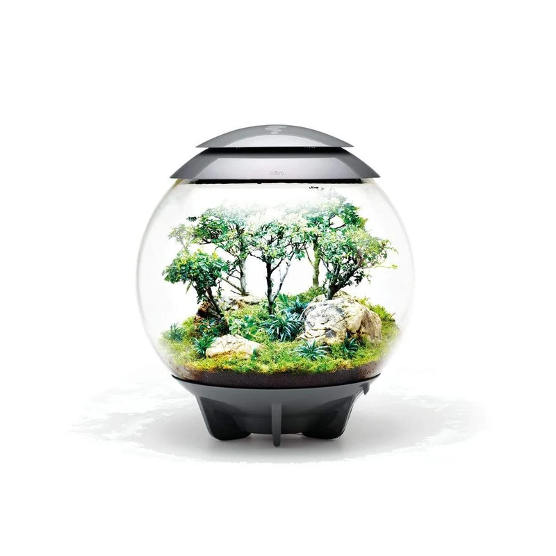 Terrarium biOrb AIR 60 Gris - 60L