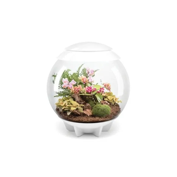 Terrarium biOrb AIR 60 blanc - 60L