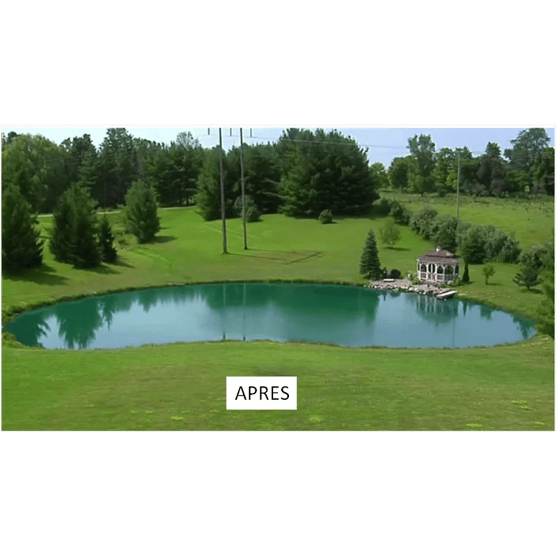 Aquipond Blue Lake 10 – 1kg (10 sachets) jusqu'à 10000M² – Colorant naturel pour lutter contre les algues et les plantes invasives