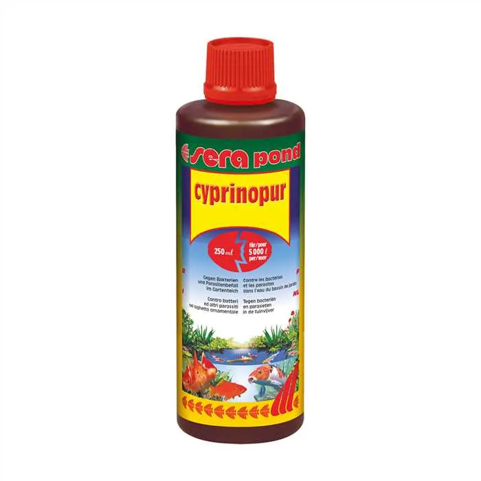 Sera Pond Cyprinopur 250ml pour 5m³ - Contre bactéries et parasites