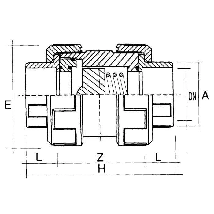 Clapet anti-retour PVC (TEFLON) - À coller - Sous pression