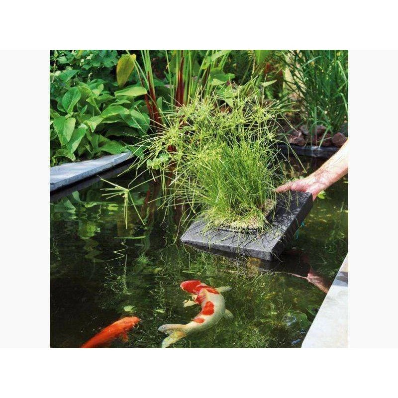 Panier de plantation flottant carré de 35CM - Velda