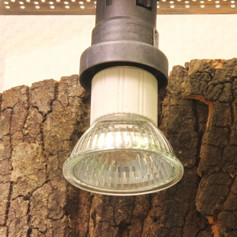 JBL ReptilDay Halogen 75W