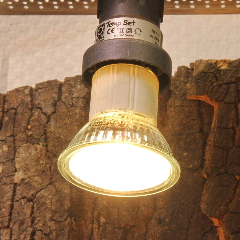 JBL ReptilDay Halogen 75W