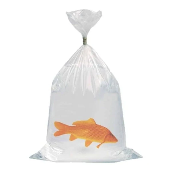 Sac poisson 50 x 100cm (250 pièces)