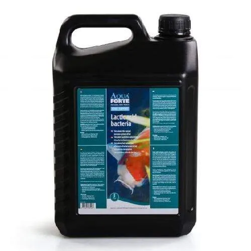 AquaForte Les bactéries lactiques 5 litres - Prévient et guéri !