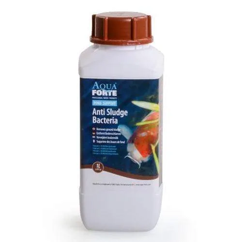 AquaForte Antislib bacteriën 1L - Bactéries contre la vase
