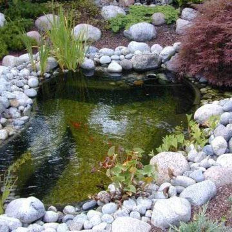 Start 1000 - Bassin à enterrer 215 x 170 x 65CM - 1000litres - Ubbink