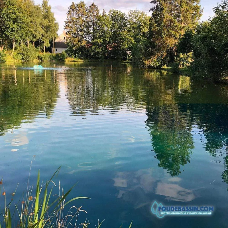 Aquipond BLUE MARINE 1KG (10 SACHETS) - Colorant pour étang naturel - Blue Lake