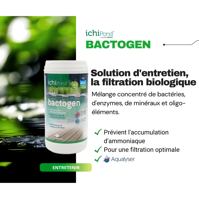 Bactogen pour 3m³ - Bactéries d'entretien de la filtration & maintenance du bassin