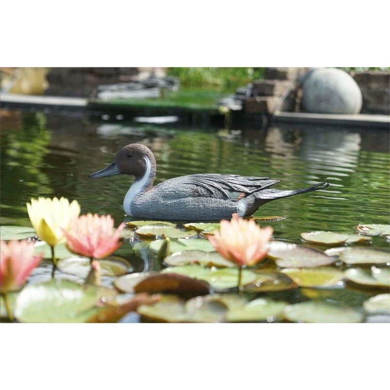 Canard pilet mâle - L48 cm