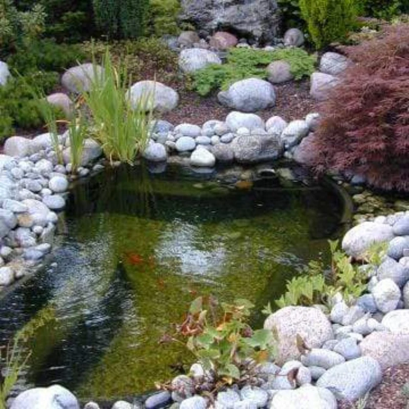 Calmus SI - Bassin à enterrer 120 x 90 x 40CM - 145litres - Ubbink