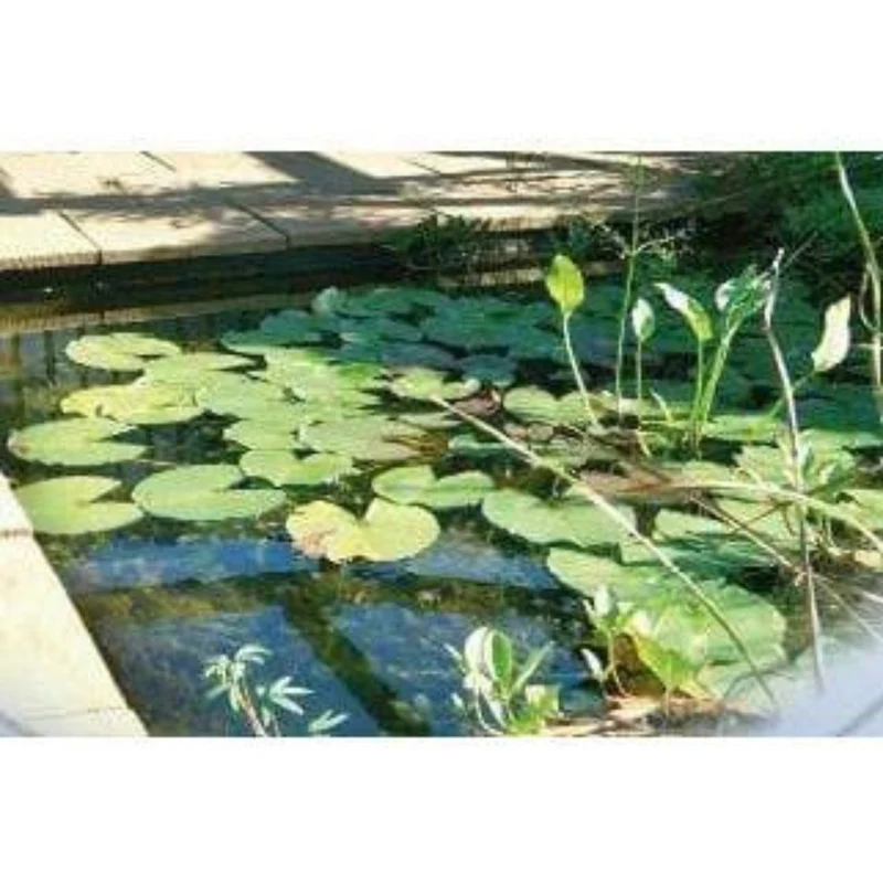 Jupiter SI - Bassin à enterrer 119 x 79 x 45CM - 230litres - Ubbink