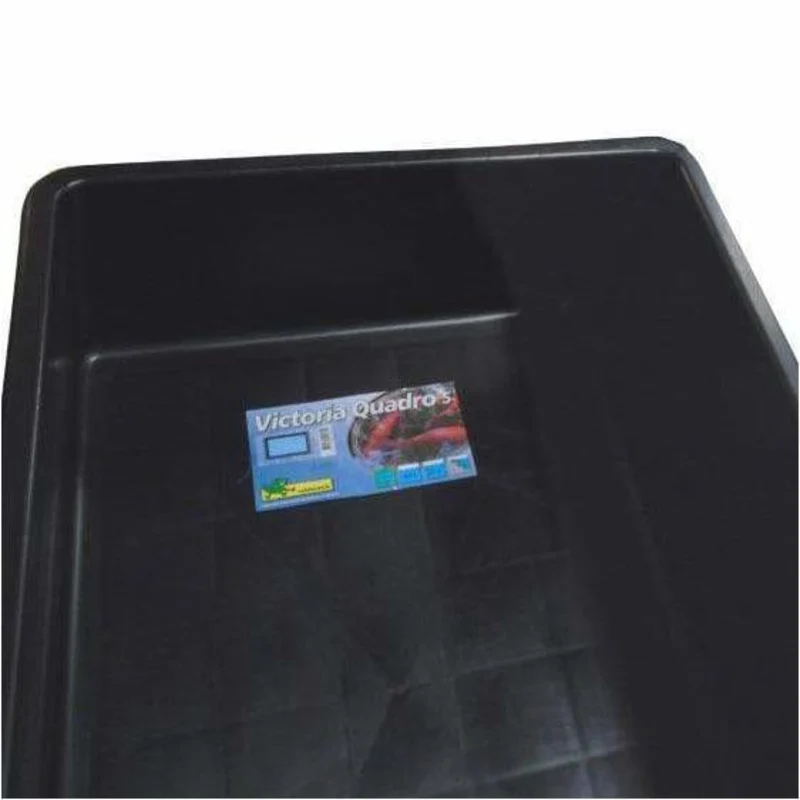 Victoria Quadro 5 - Bassin 101 x 72 x 31CM - 225litres - Ubbink