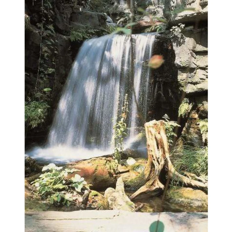 Colorado® Cascade - cours et cascade d'eau modulaire UBBINK