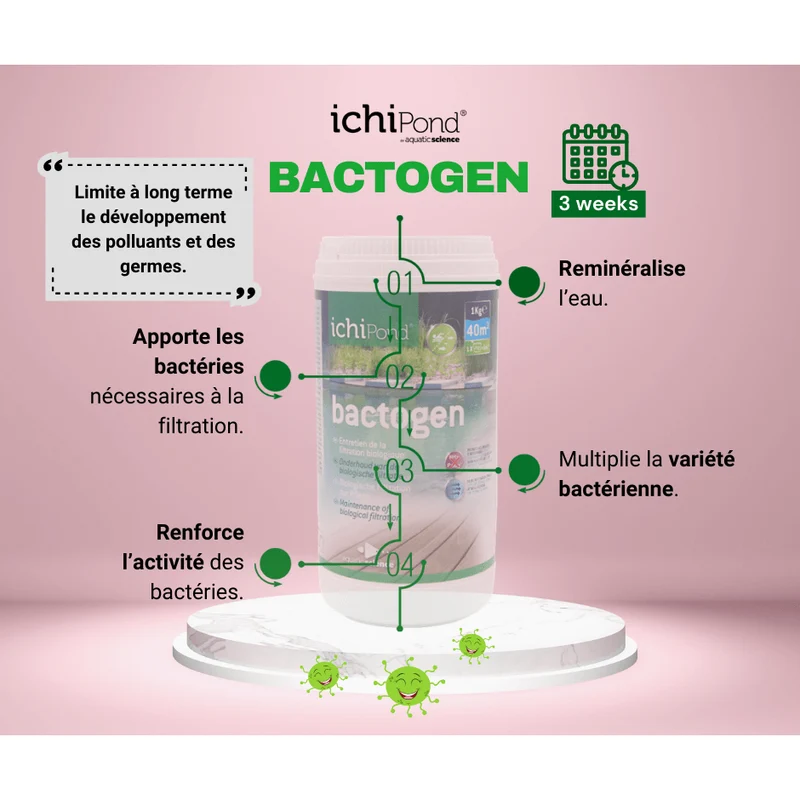 Bactogen pour 200m³ - Bactéries d'entretien de la filtration & maintenance de bassin