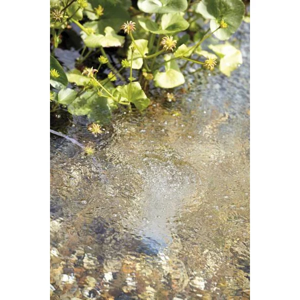 Aquaoxy 500 - Kit complet d'aération pour bassin de 0 à 5m³ - Oase