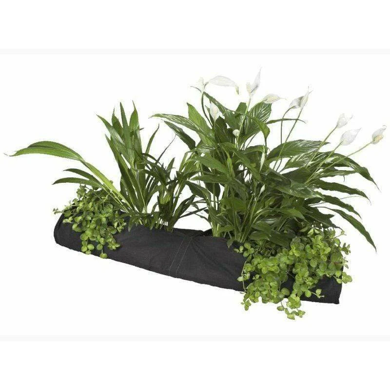 Plant Socks 10 x 80CM - Chaussette de plantation pour bassin