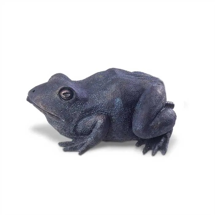 Gargouille Grenouille - Cracheur pour petit jeu d'eau - Oase